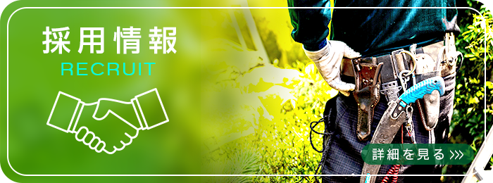 採用情報